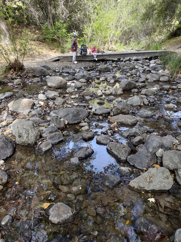 The creek at Johnson Ranch Trail in San Luis Obispo county California