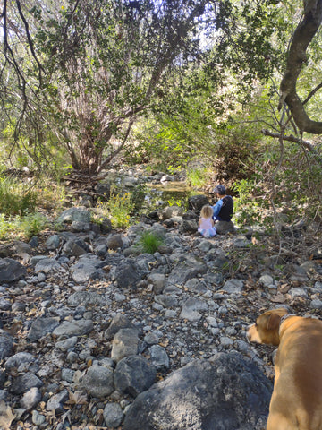 The creek is dry along Johnson Ranch Trail in San Luis Obispo county California 