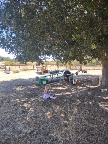 The tire swing in the children's play area in the Nipomo Native Garden, San Luis Obispo county, CA 