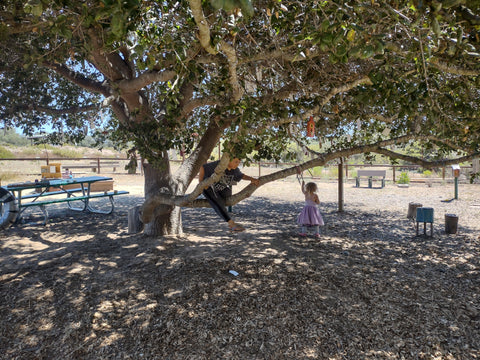 Children's play area in the Nipomo Native Garden, San Luis Obispo county, CA 