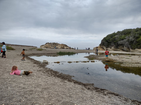 A busy day in Spooner's Cove in Montaña de Oro State Park near Morro Bay in San Luis Obispo county 