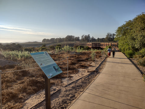 Boardwalk and overlook at the Land Conservancy's Kathleen's Canyon Overlook on the mesa in Arroyo Grande California's Central Coast 