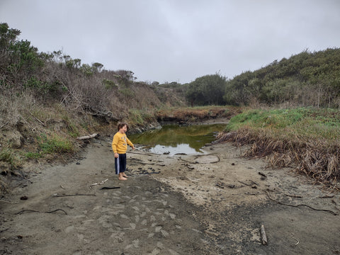 Rocko in the muck at Adobe Creek mouth on Arroyo Laguna Beach in San Simeon, California's central coast 