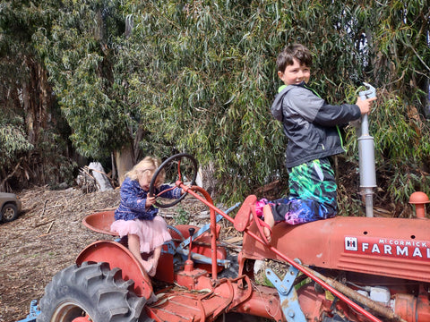 Kids riding a red tractor at Halcyon Farms in Arroyo Grande on California's central coast in San Luis Obispo county pesticide free organic