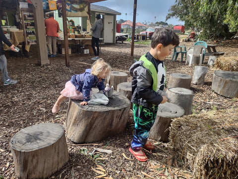 Kids enjoying freshly picked blueberries at Halcyon Farms in Arroyo Grande in California's central coast in San Luis Obispo county.