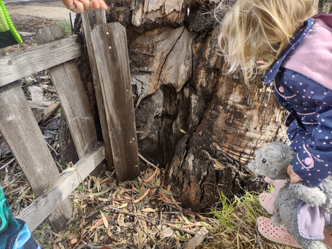 Secret fairy door at Halcyon Farms in Arroyo Grande on California's central coast in San Luis Obispo county pesticide free organic produce fruits and vegetables