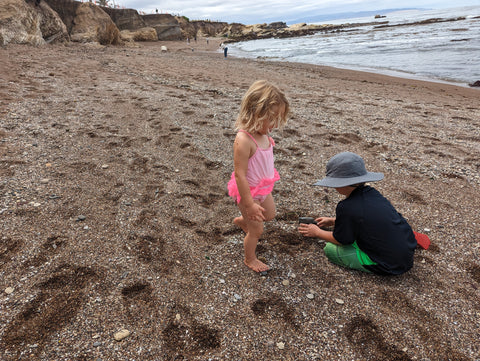 Tide pooling Shell Beach part of Pismo Beach on memorial Day in San Luis Obispo county on California central coast