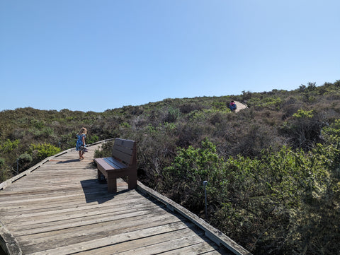 The boardwalk in the El Moro Elfin Forest of Loas Osos, in San Luis Obispo County, on California's Central Coast