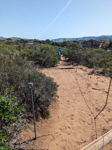 The approach to the boardwalk and the views in the background for the El Moro Elfin Forest on California's Central Coast in San Luis Obispo county.
