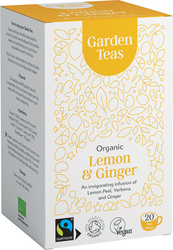 Lemon Ginger