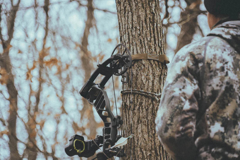 Arco y Ballesta icon