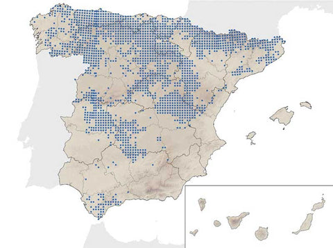 distribution of the roe deer in Spain