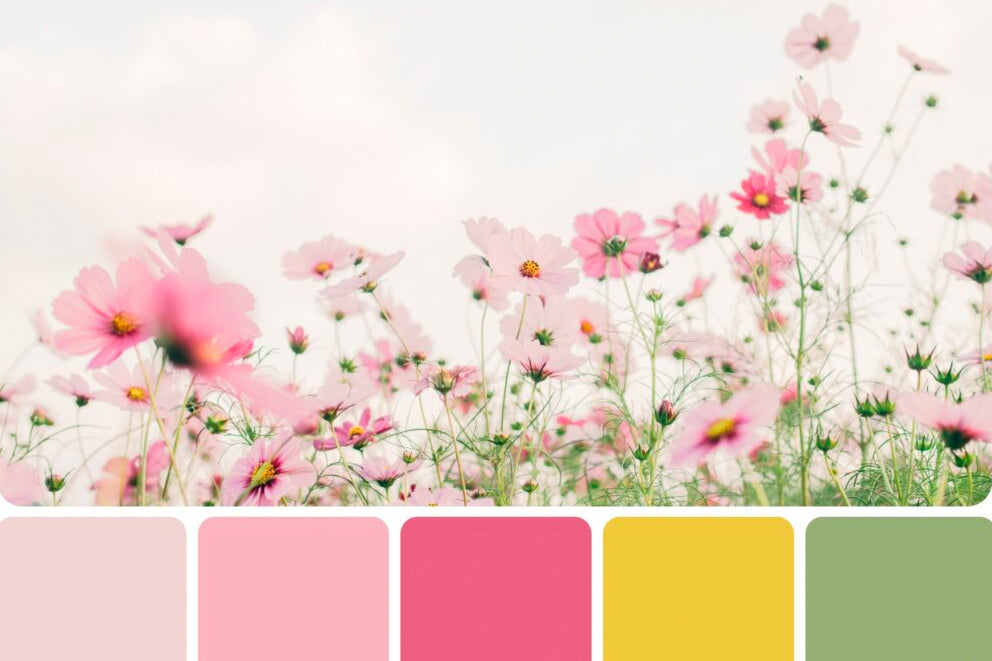spring palette colors
