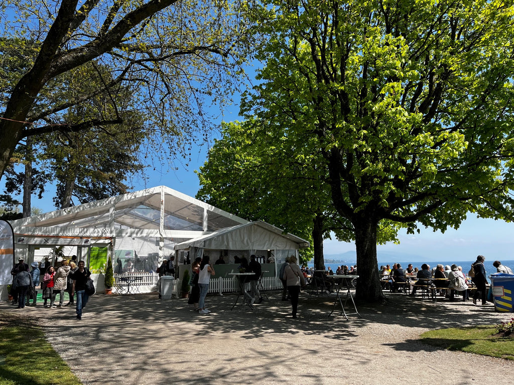 Fête de la Tulipe à Morges