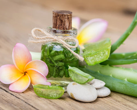 soin naturel a l aloe vera