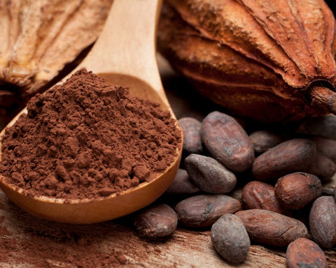 cacao aliment riche en cuivre pour eviter chute de cheveu