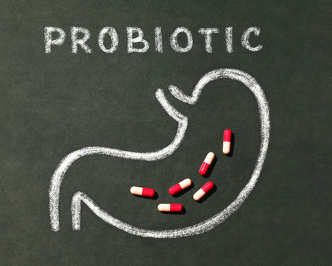 probiotiques pour restaurer l'equilibre du microbiote apres medicament
