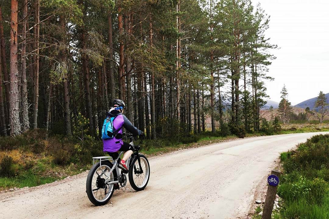 Starší elektrobicykel s tučnou pneumatikou