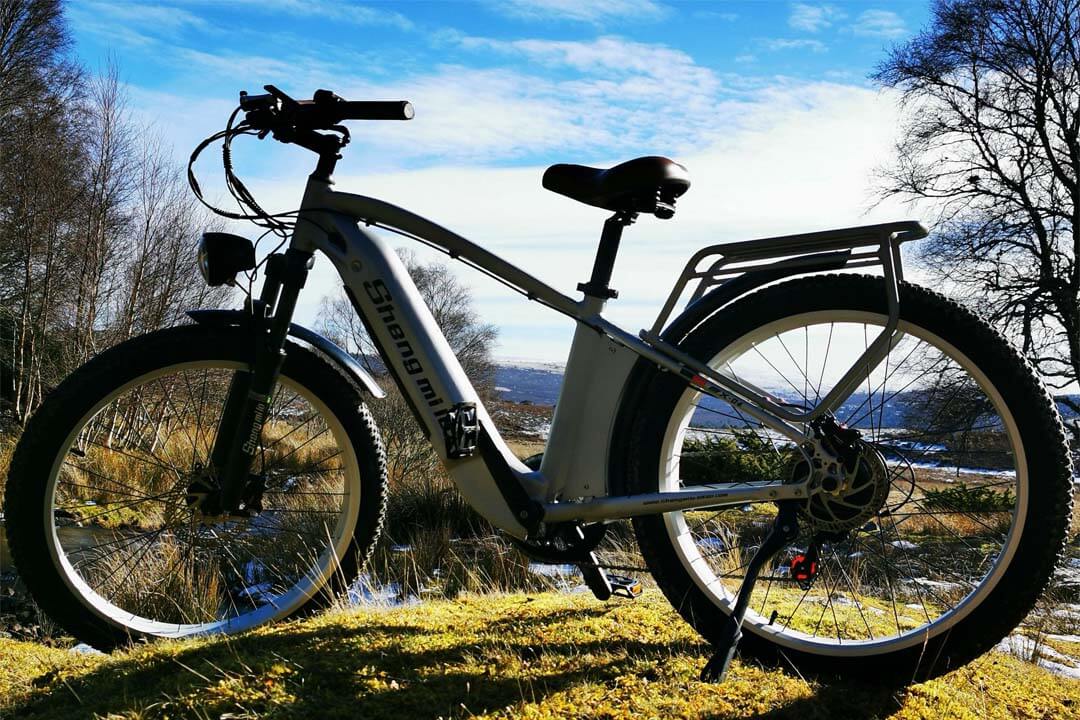 bicicleta elétrica de carga