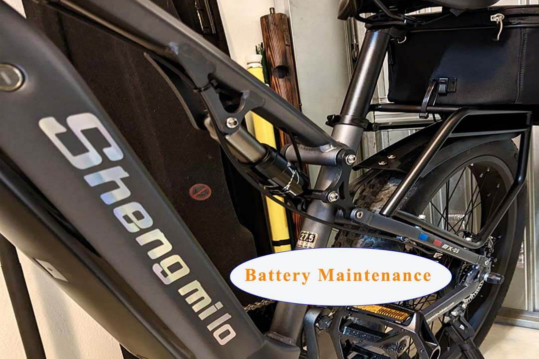 Batteriewartung für E-Bikes