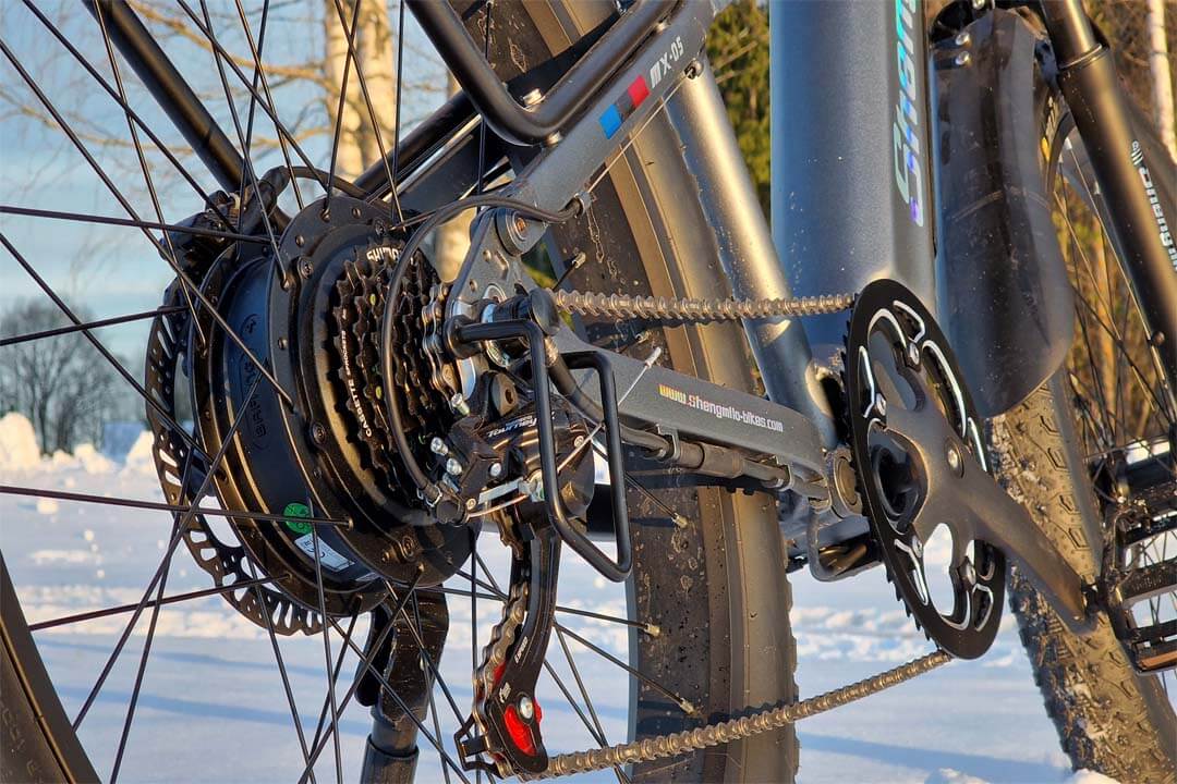 Electric bike chainring