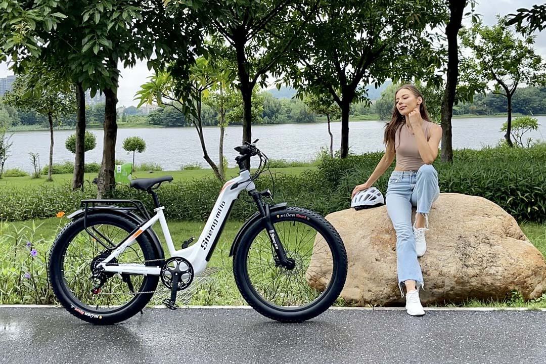 Bicicleta elétrica gorda