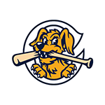 Charleston RiverDogs logo