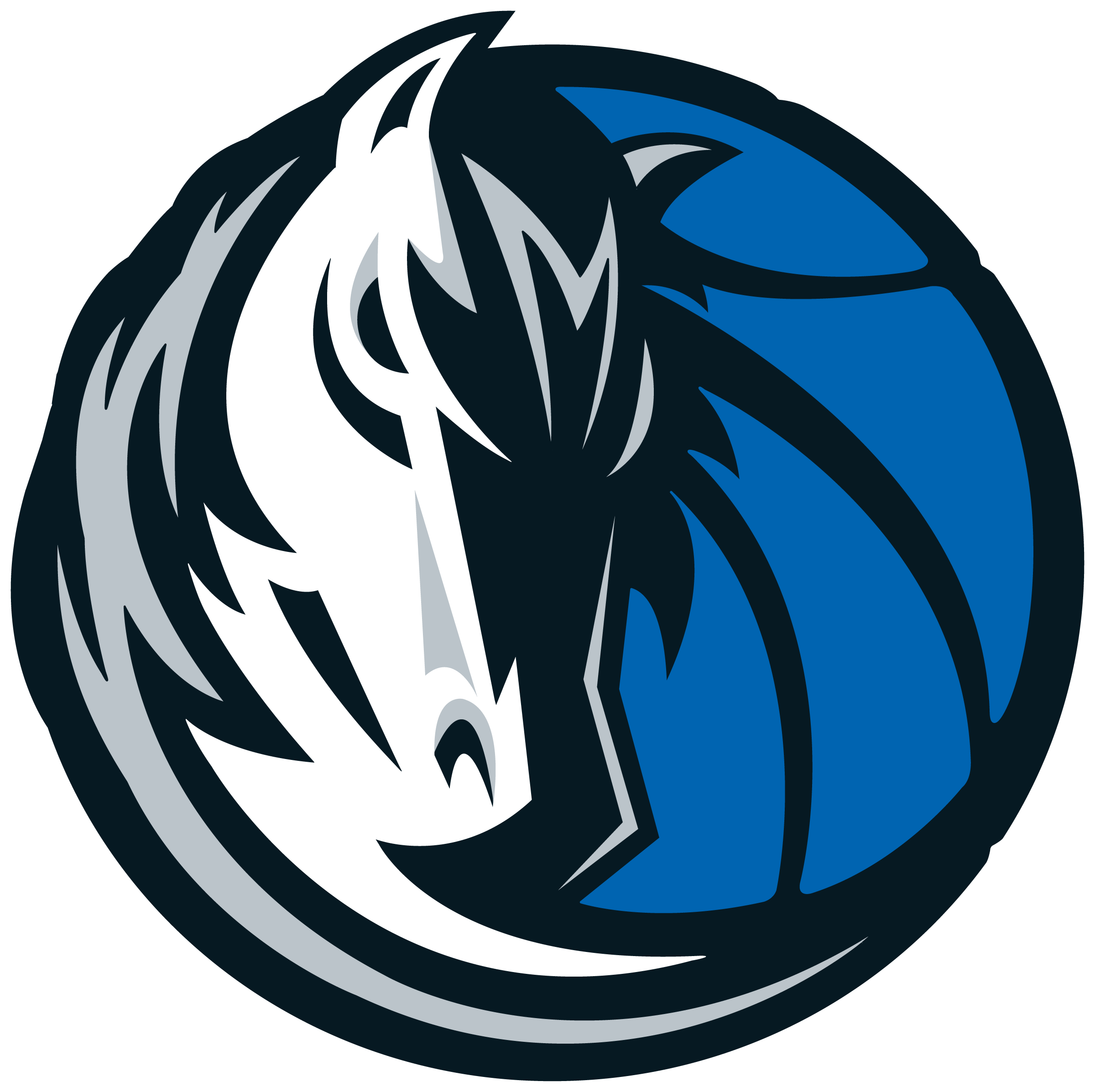 Dallas Mavericks