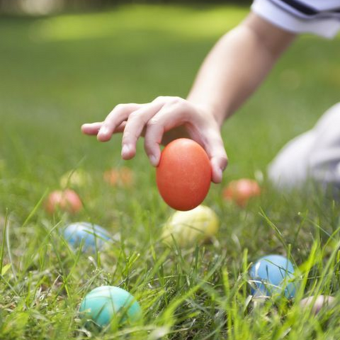 Easter egg hunt - coloured eggs hidden in long grass