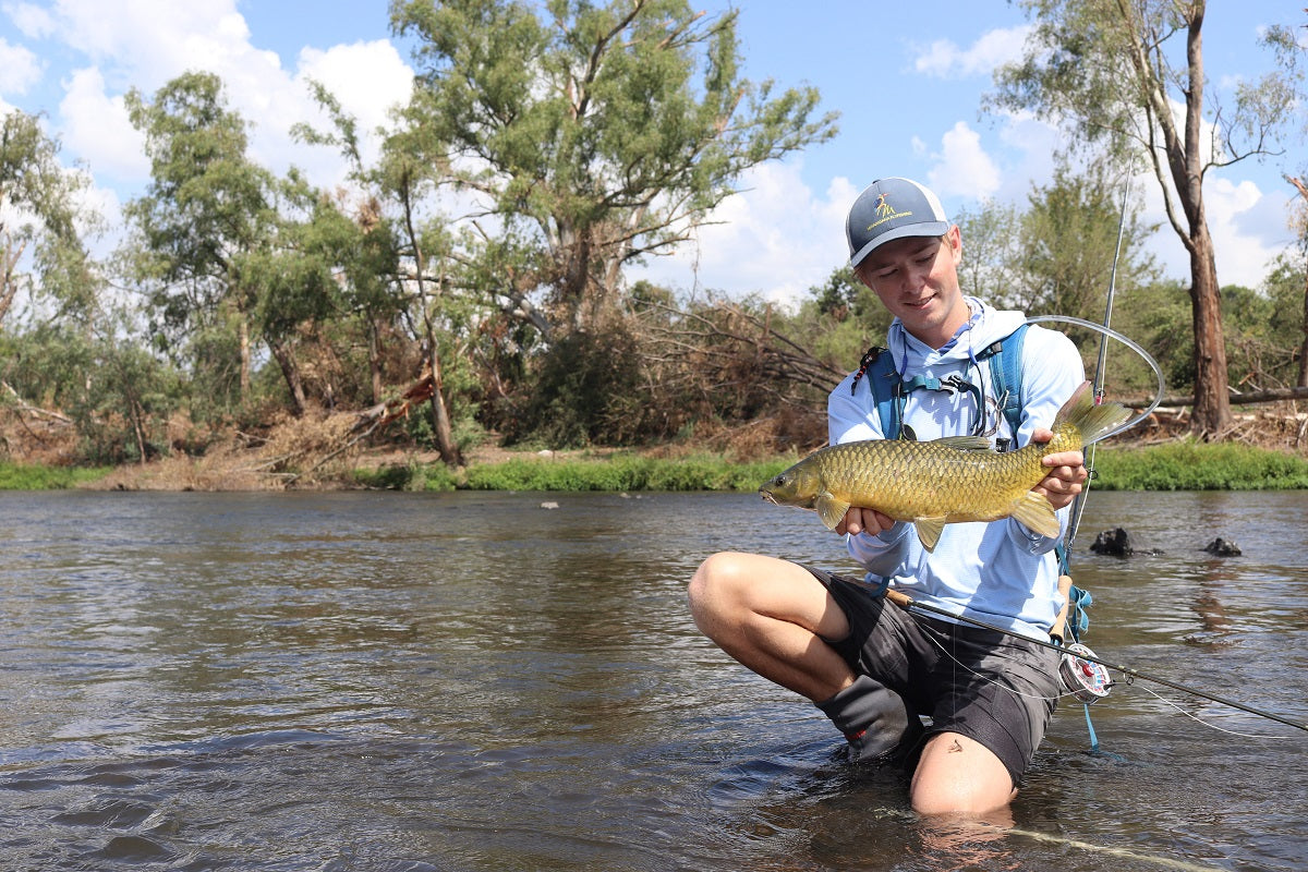 Yellowfish Vaal River