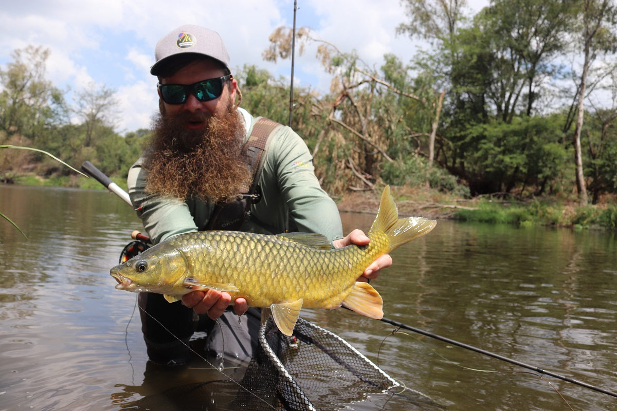 Yellowfish on the Vaal river