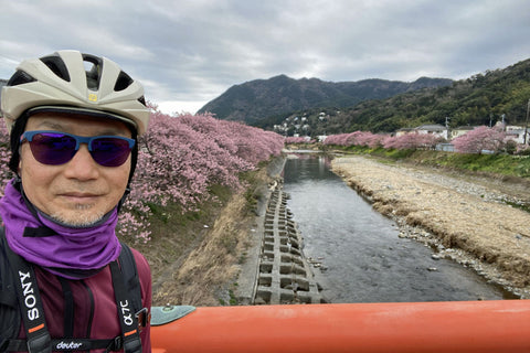 河津川の河津桜並木