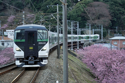 臨時特急踊り子のE257系5000番台