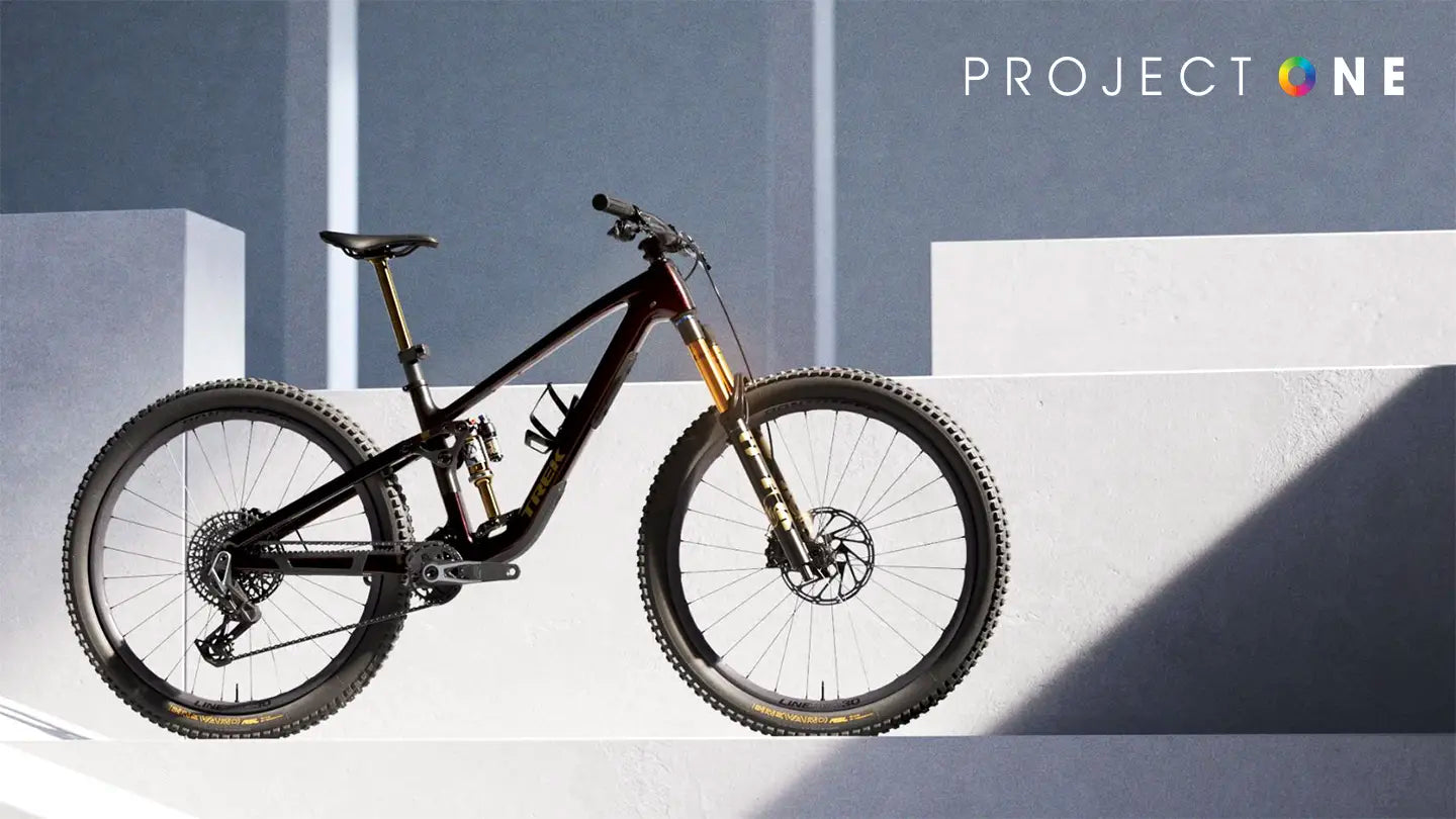 Project One MTB のカスタマイズ例