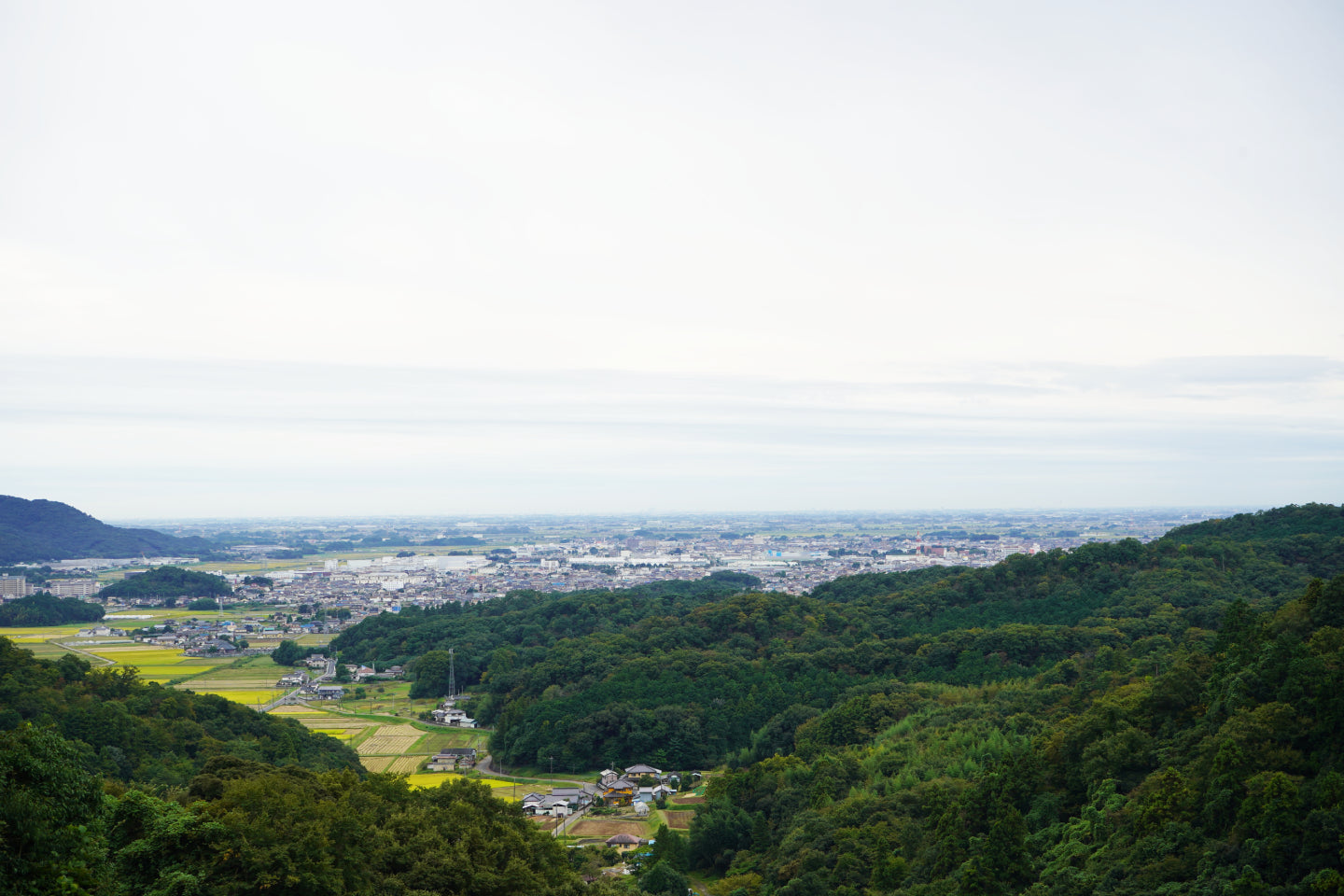 唐沢山からの絶景