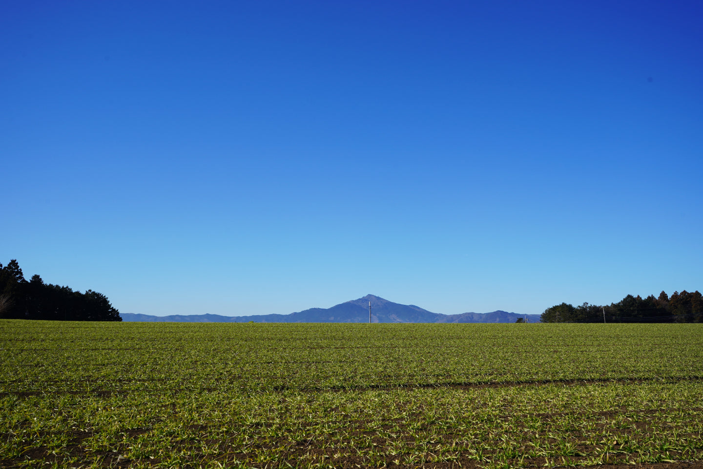 石岡市周辺の絶景