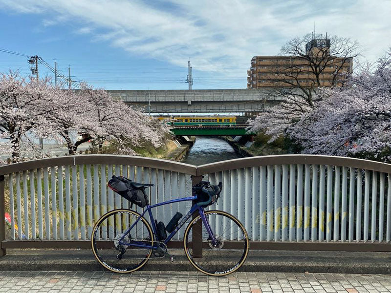 桜並木と富山地方鉄道