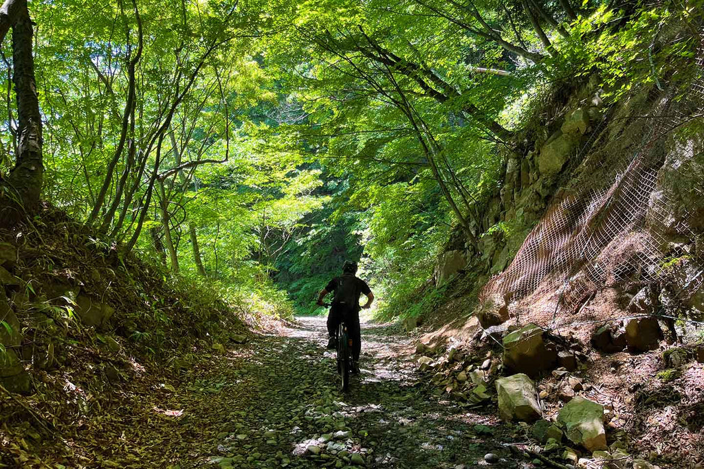 万沢林道を野反湖の方向に向かって走る道中の景色