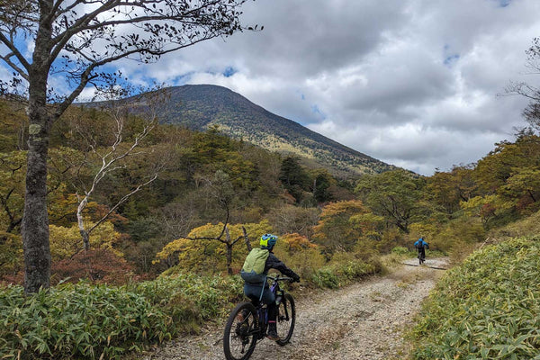 E-MTBでダウンヒルを楽しむ