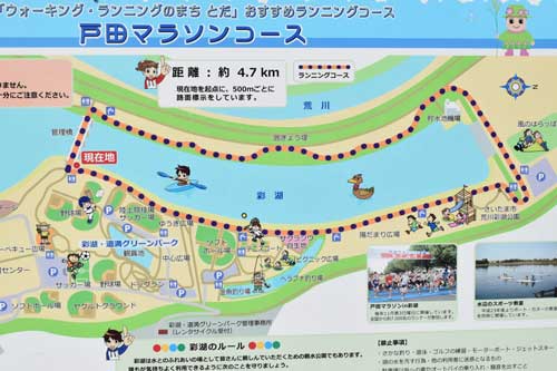 彩湖・道満グリーンパークのサイクリングコース