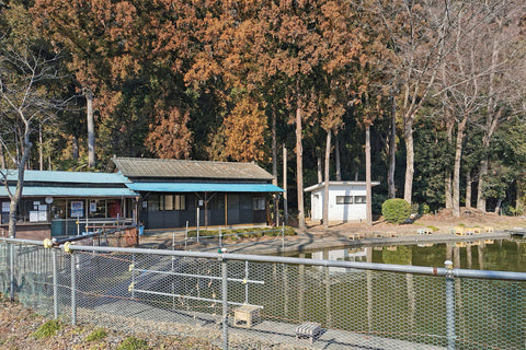 釣り堀の風景