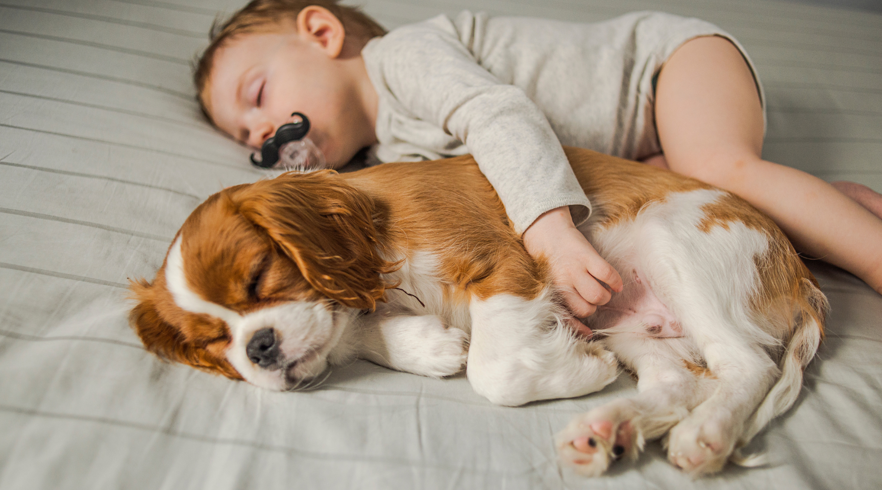 Baby sleeping with a dog