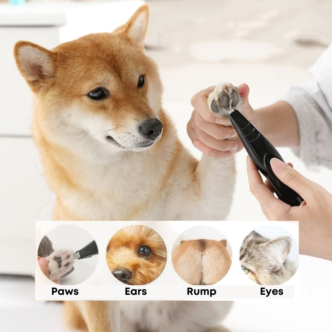 Trimmer being used on a dog's paws, eyes, ears and rump.