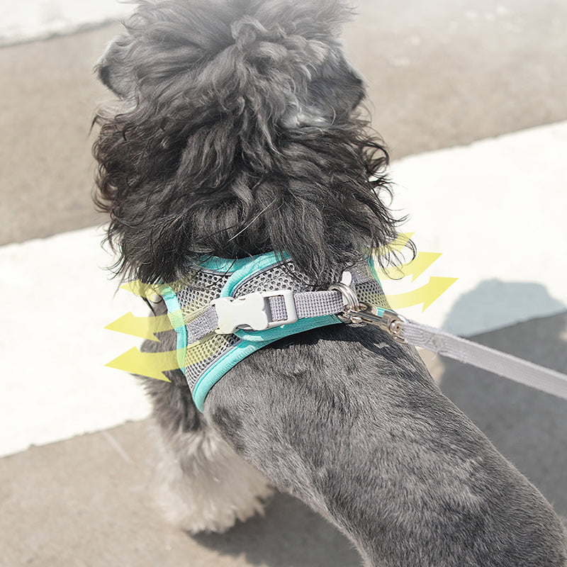 harness on dog showing how it's mesh is lightweight and breathable