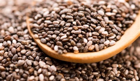 Chia Seeds Nutrition