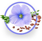 Ingredient_LINSEED