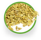 fennel-seed