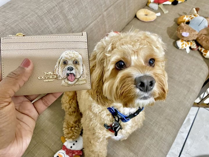 coach dog wallet