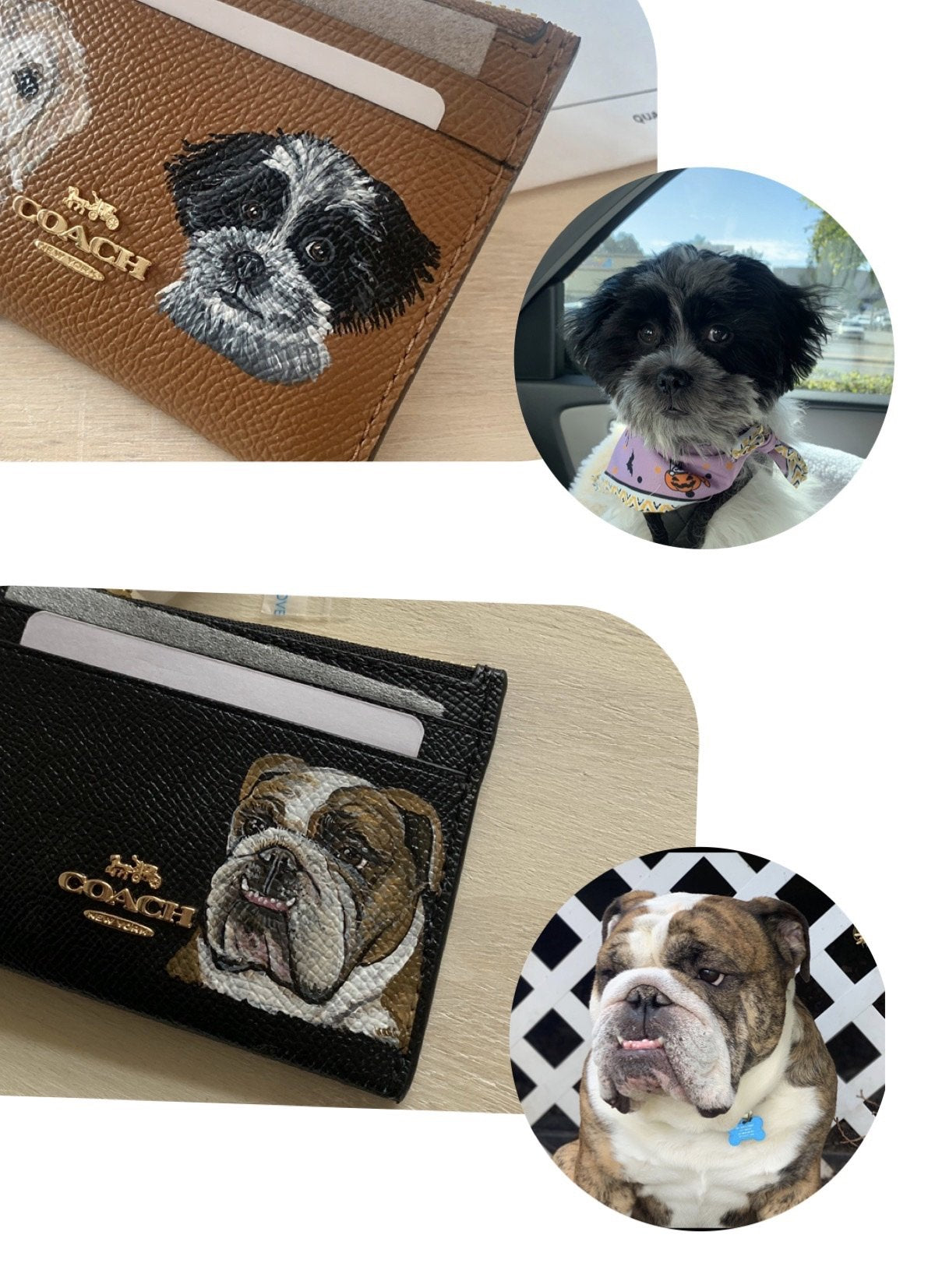 coach dog wallet