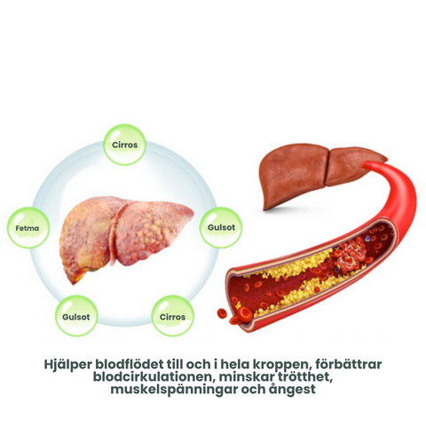 LIVER™ Vegan lever rengöring nasal ört box 